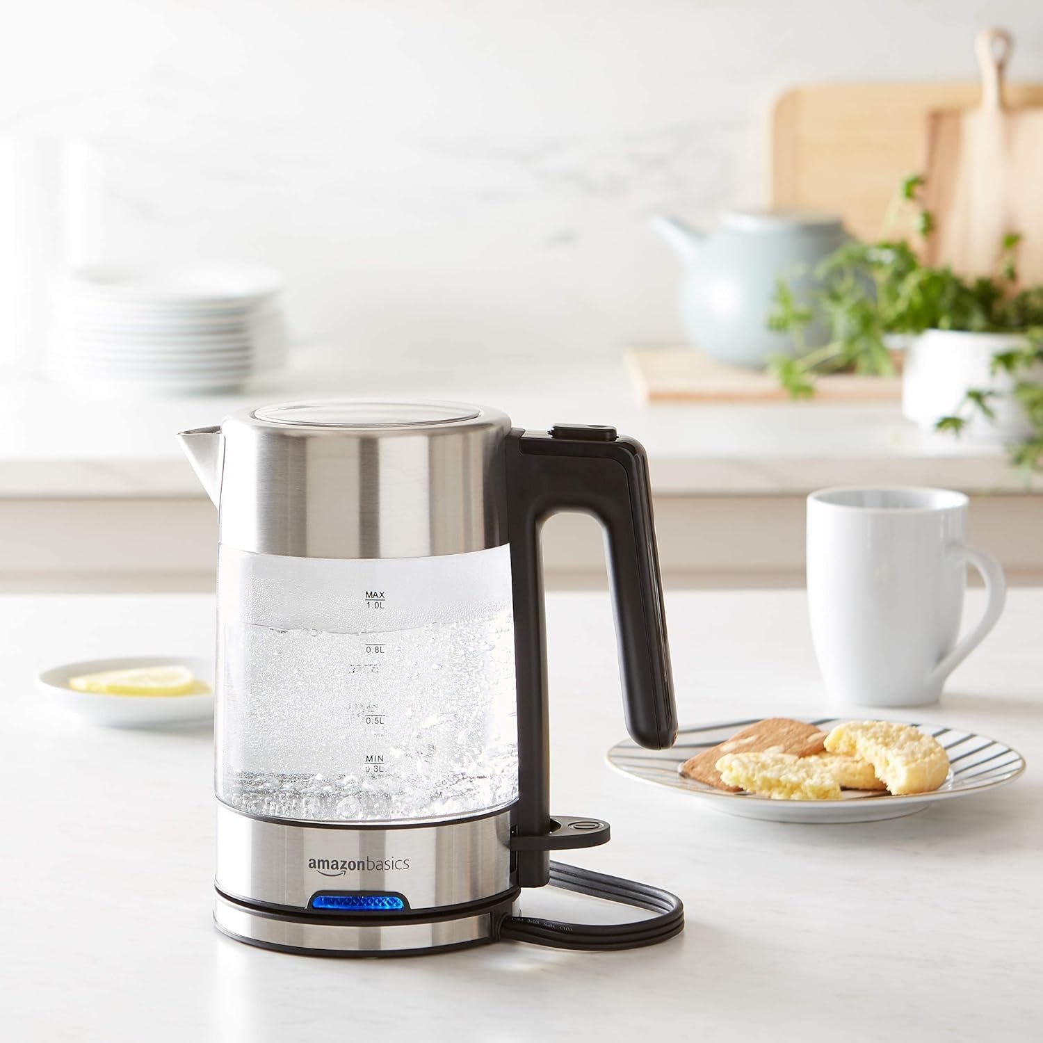 Amazon Basics Electric Glass and Steel Kettle